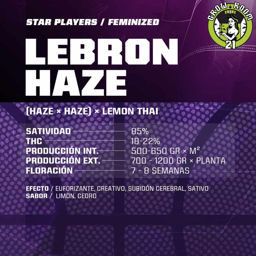 Bild von Lebron Haze