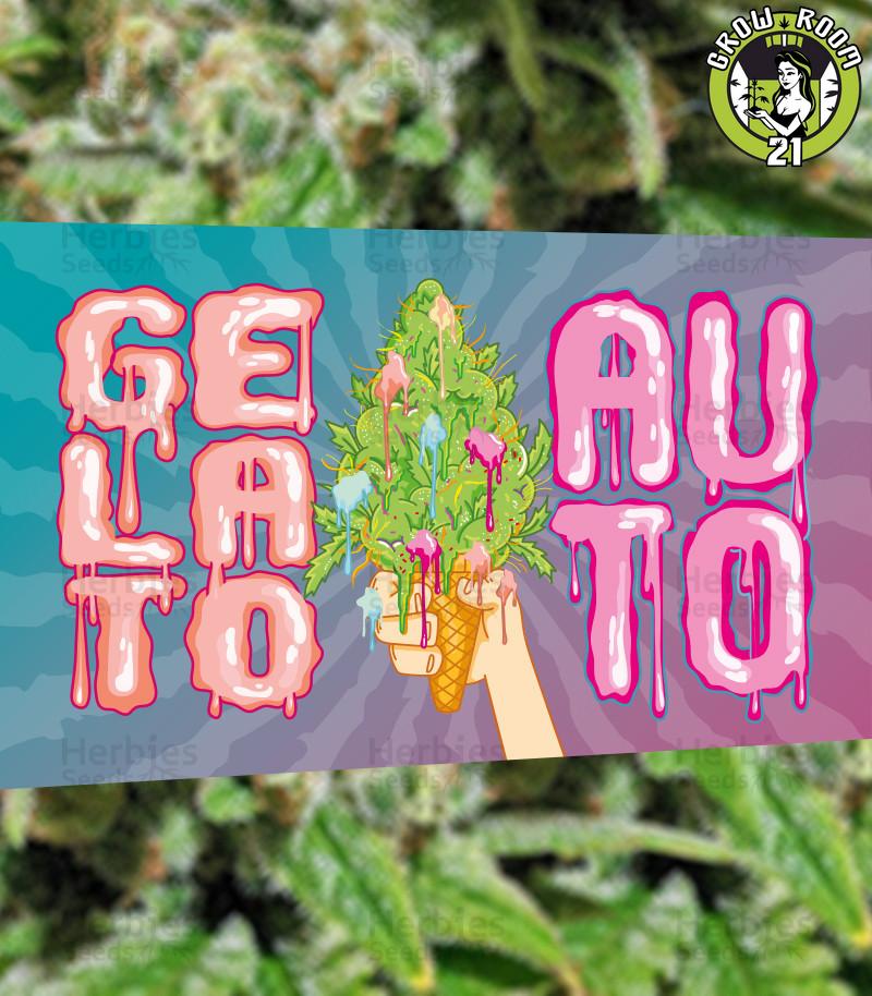 Bild von Gelato Auto