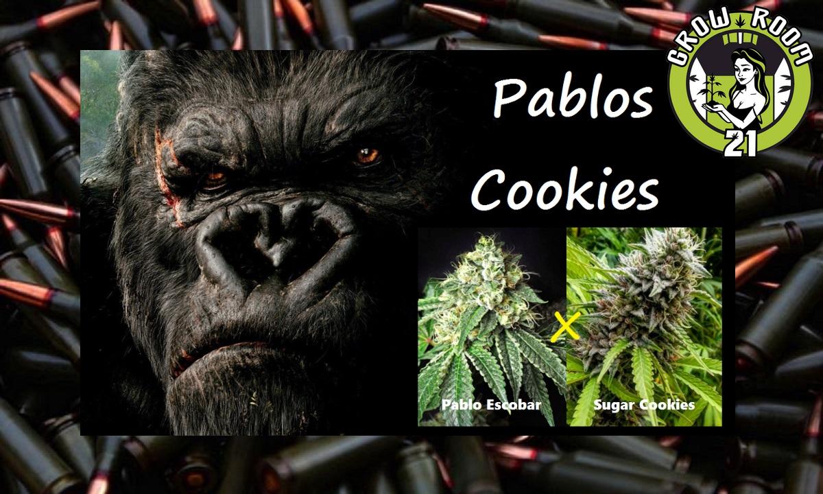 Bild von Pablos Cookies