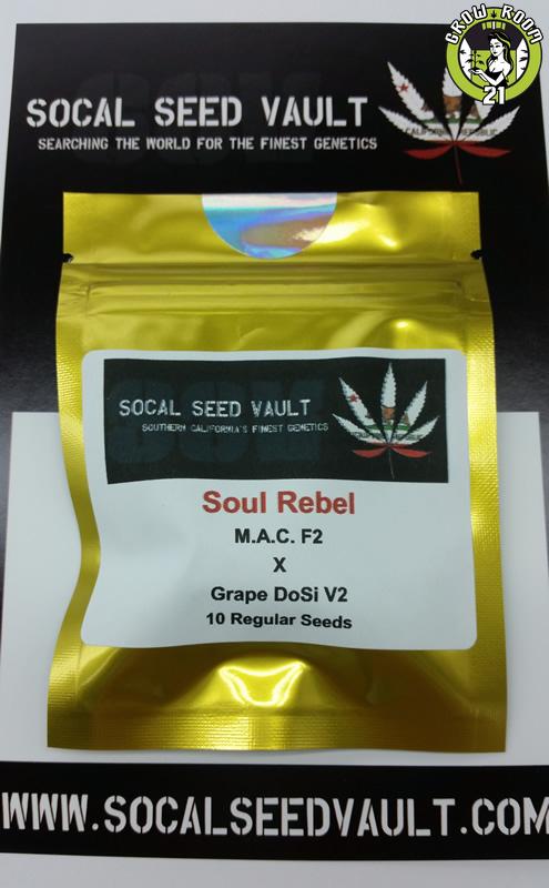 Bild von Soul Rebel