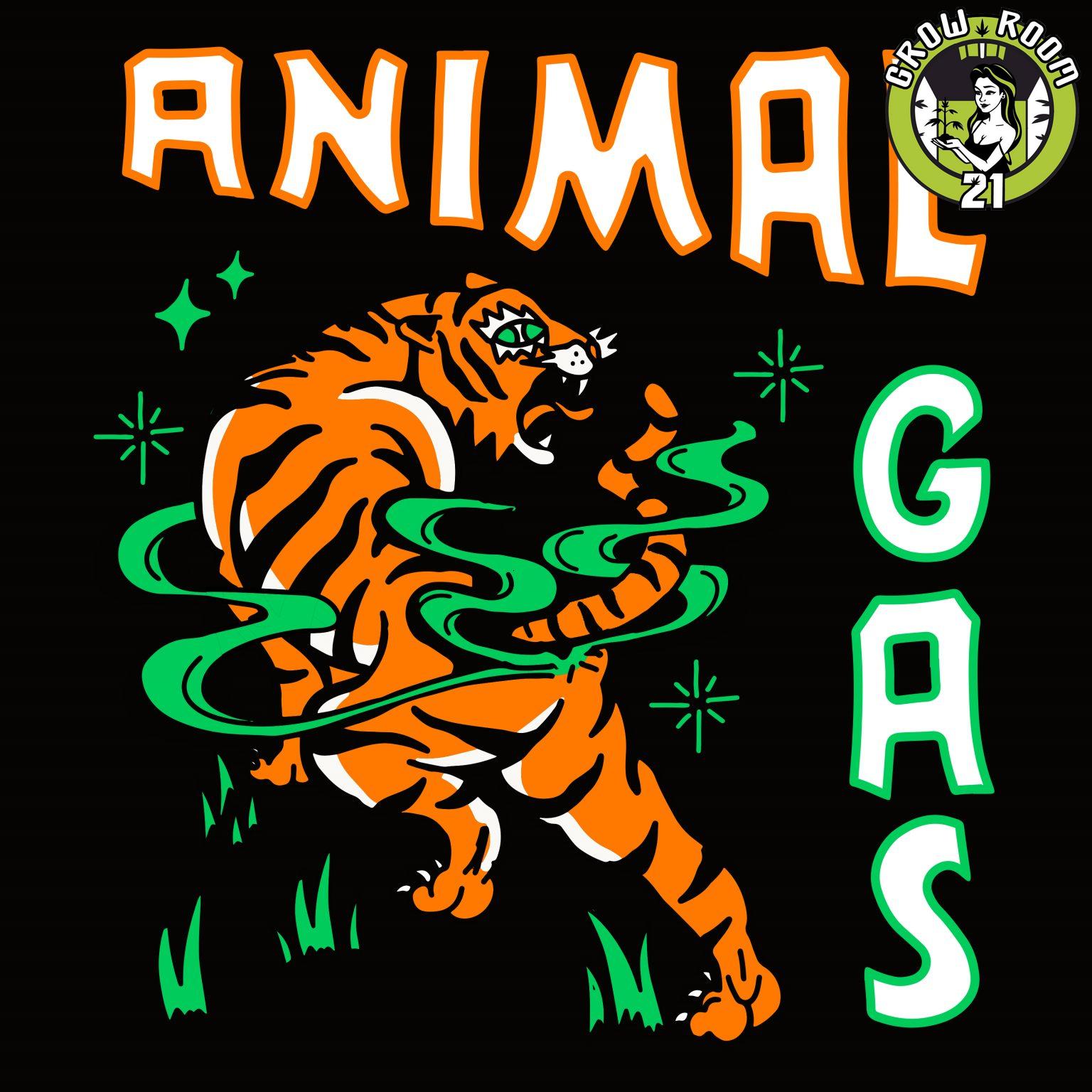 Bild von Animal Gas