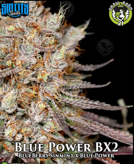 Bild von Blue Power BX2