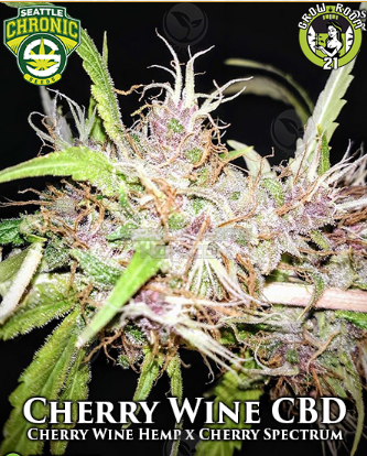 Bild von Cherry Wine Spectrum CBD