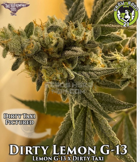 Bild von Dirty Lemon G-13