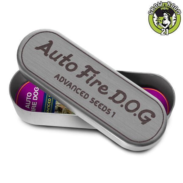 Bild von Fire Dog Auto