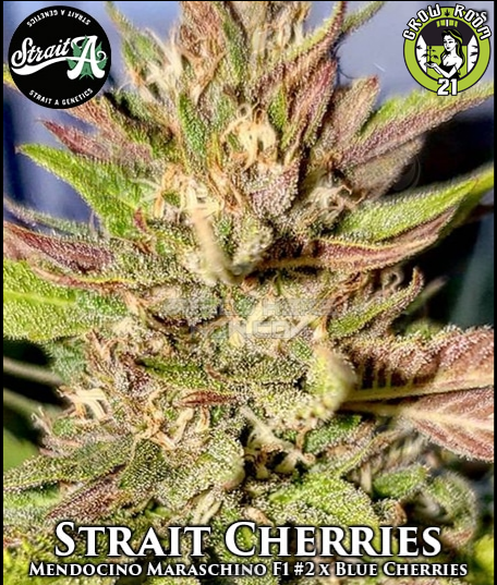 Bild von Strait Cherries