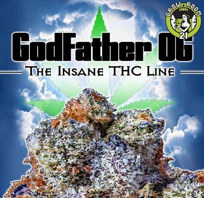 Bild von Godfather OG CBD