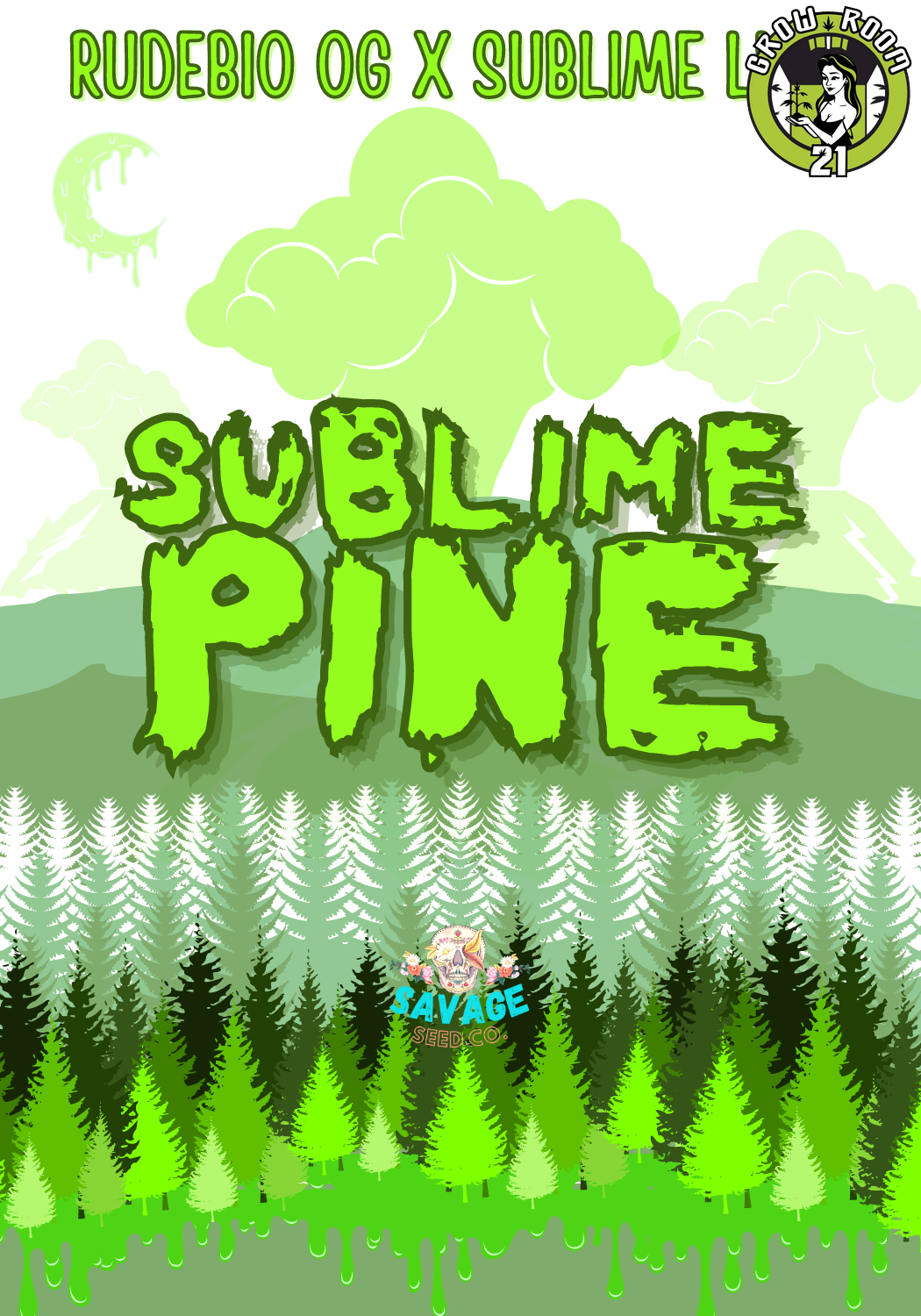 Bild von Sublime Pine