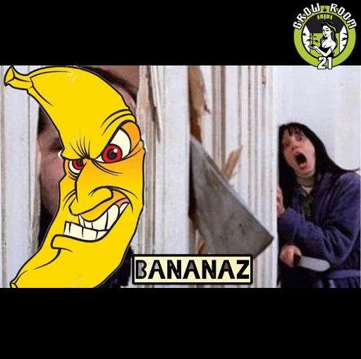 Bild von Bananaz