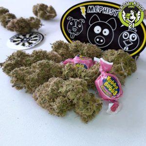 Bild von Hubbabubba Haze