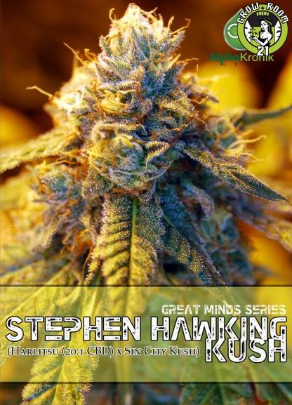 Bild von Stephen Hawking Kush