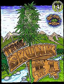 Bild von True Skunk 1