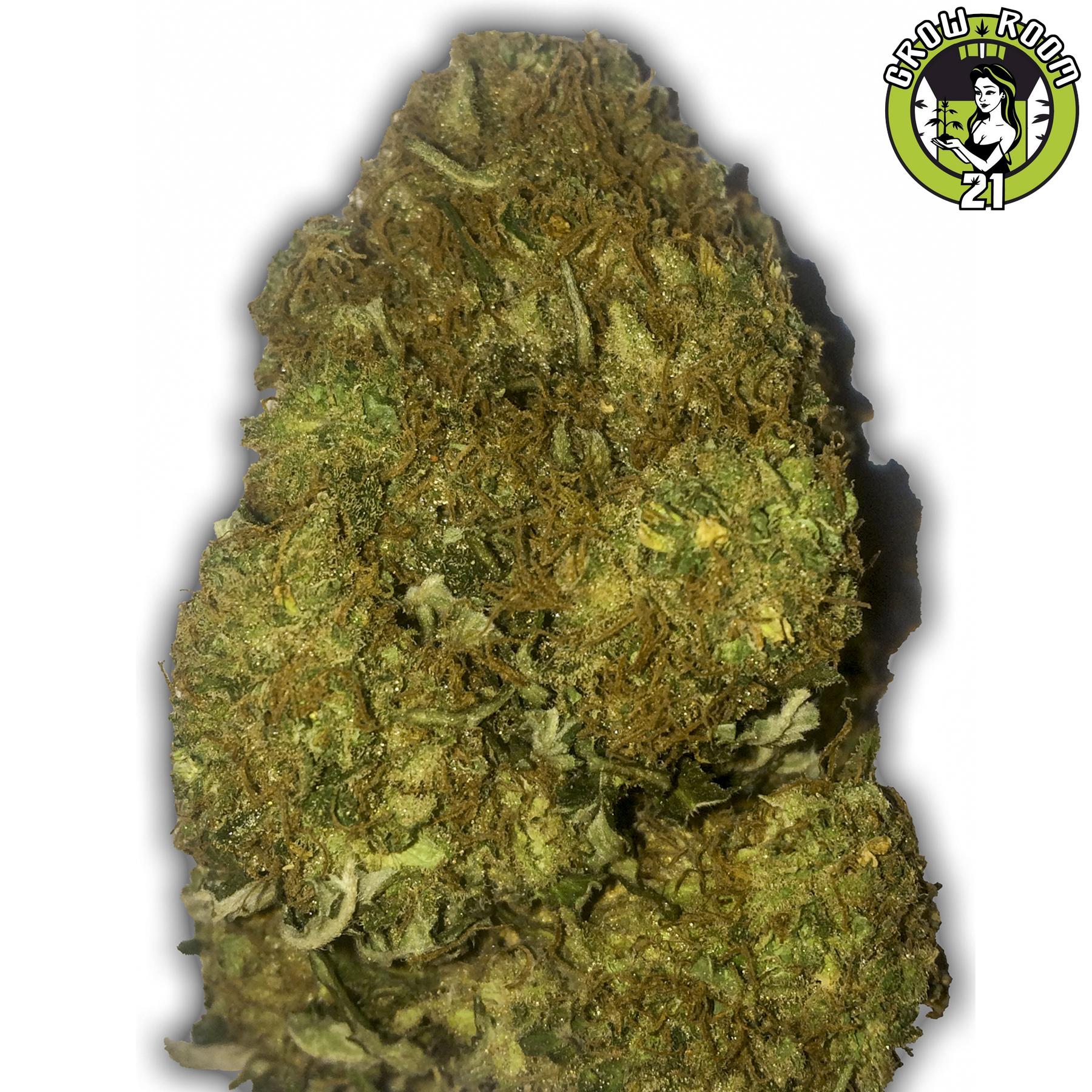 Bild von Skunky Monkey Auto