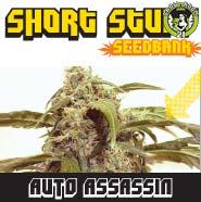 Bild von Auto Assassin