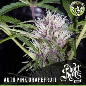 Bild von Auto Pink Grapefruit