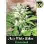 Bild von Automatic White Widow