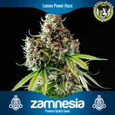 Bild von Lemon Power Haze