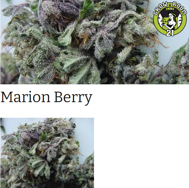 Bild von Marion Berry