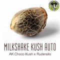 Bild von Milkshake Kush Autoflower