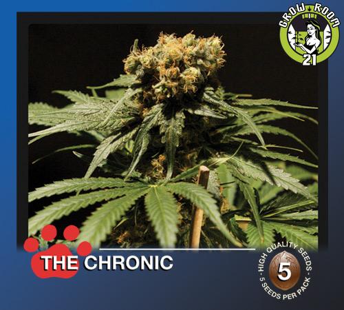 Bild von The Chronic