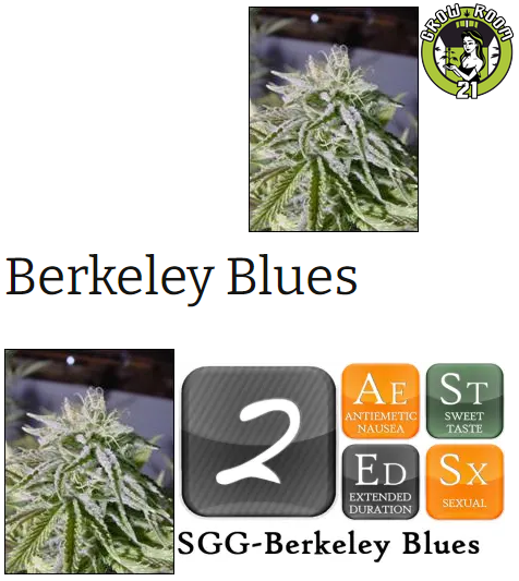 Bild von Berkley Blues