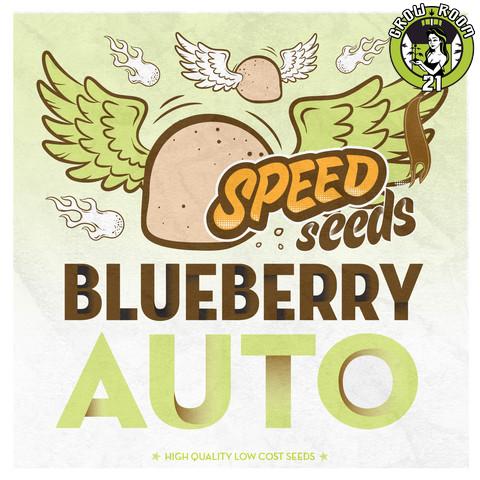 Bild von Blueberry Auto