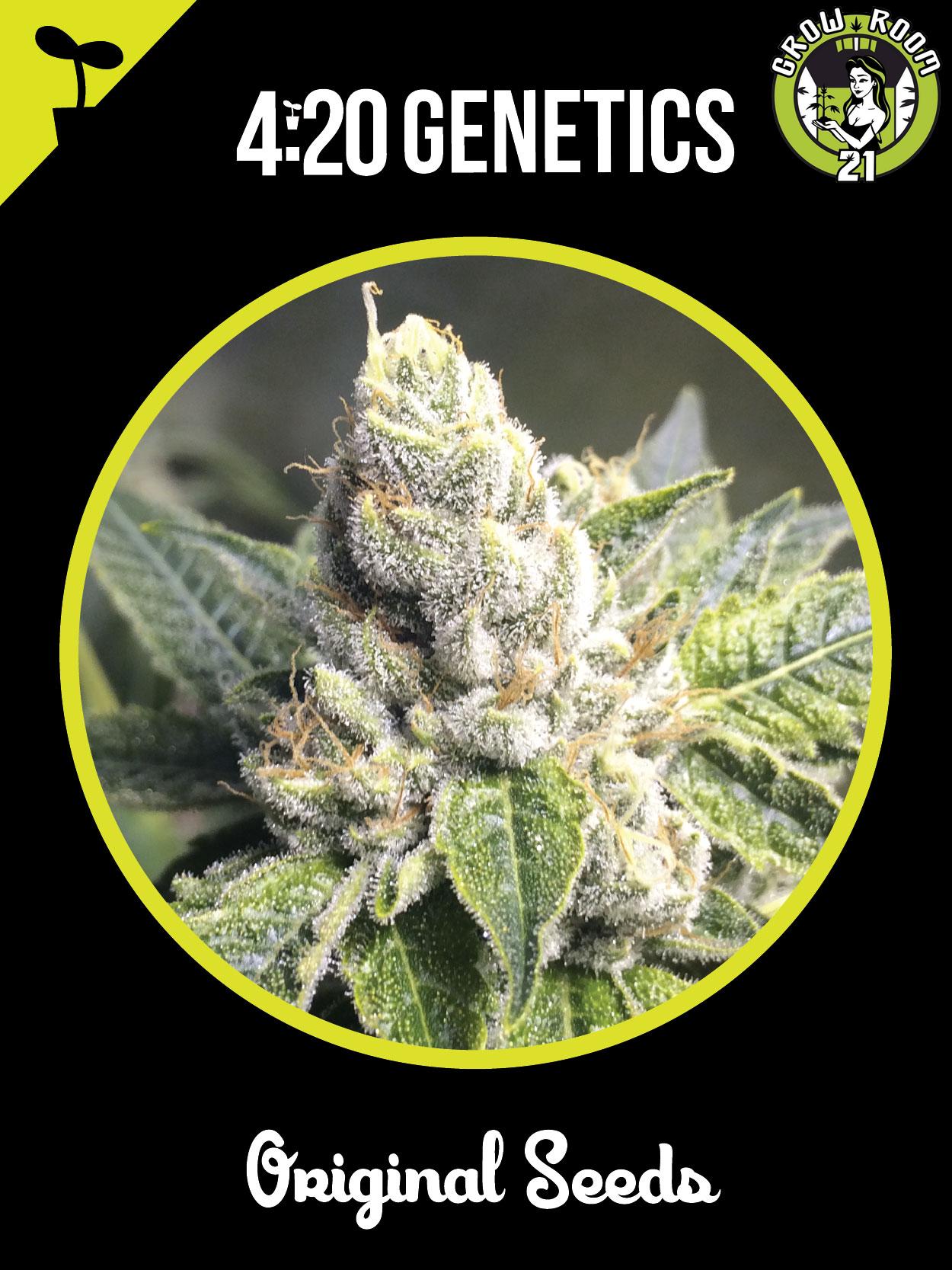 Bild von CBD Blueberry