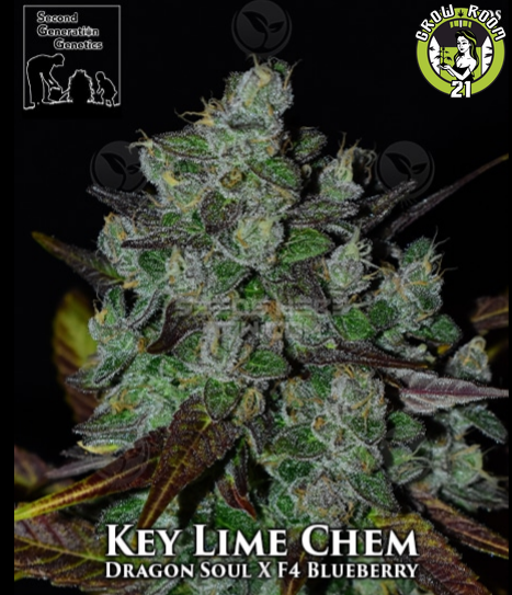 Bild von Key Lime Chem