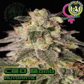 Bild von CBD Bomb Autoflowering