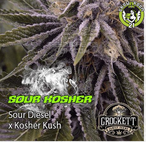 Bild von Sour Kosher