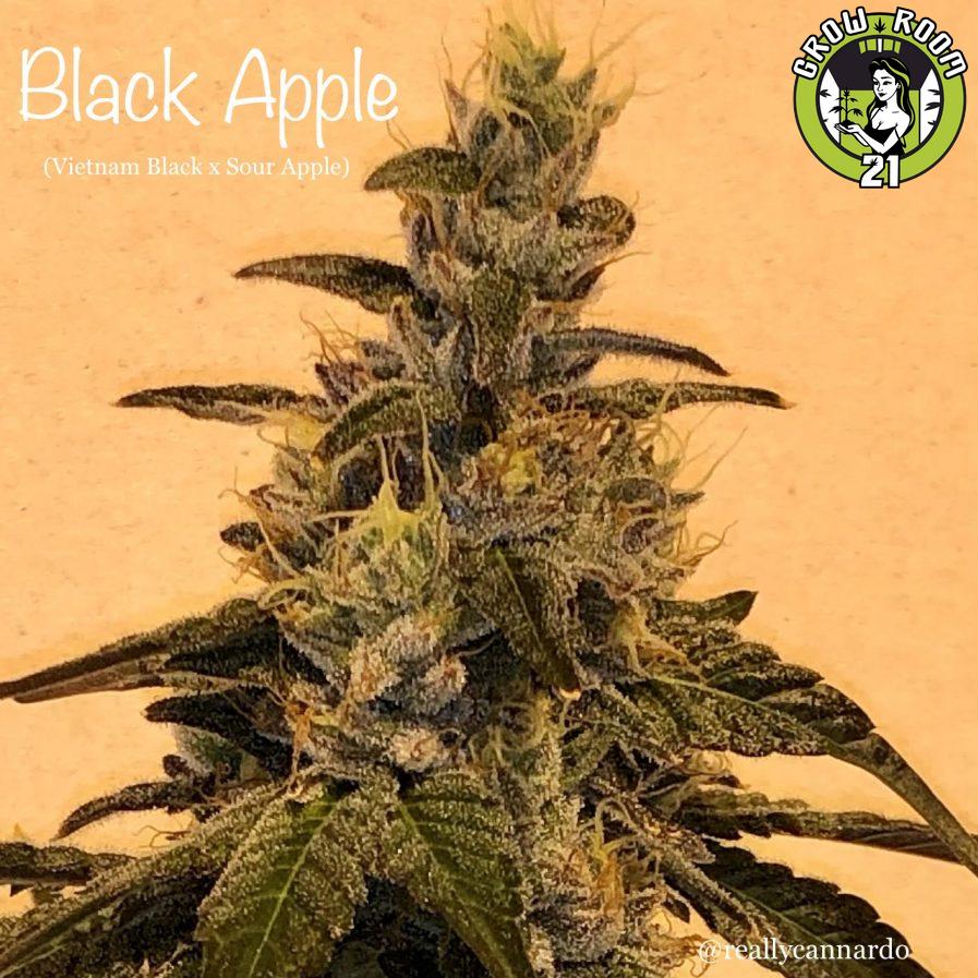 Bild von Black Apple