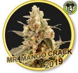 Bild von Mr. Mango Crack