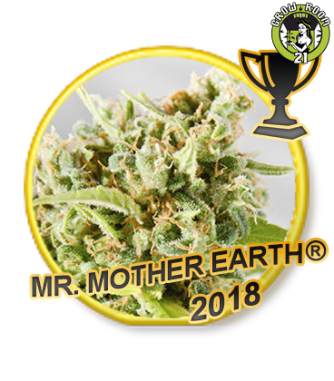 Bild von Mr. Mother Earth