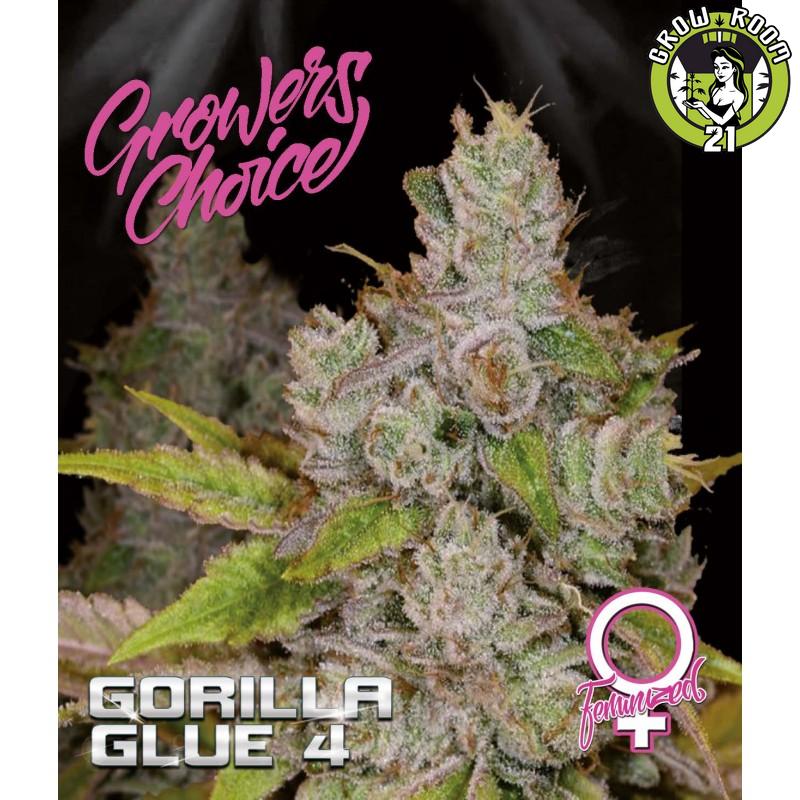 Bild von Gorilla Glue 4