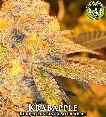 Bild von Krabapple