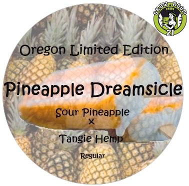 Bild von Pineapple Dreamsicle