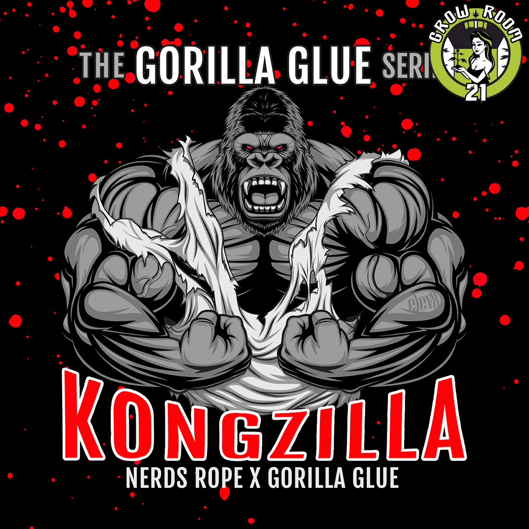 Bild von Kongzilla