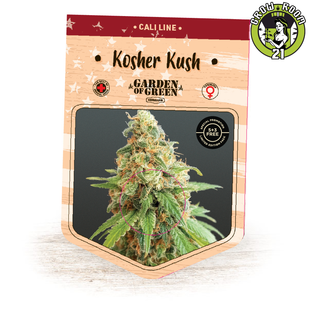 Bild von Kosher Kush