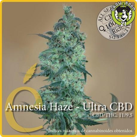 Bild von Amnesia Haze Ultra CBD