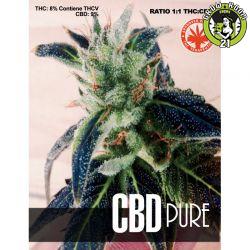 Bild von CBD Pure