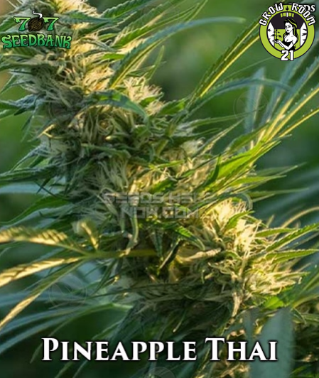 Bild von Pineapple Thai