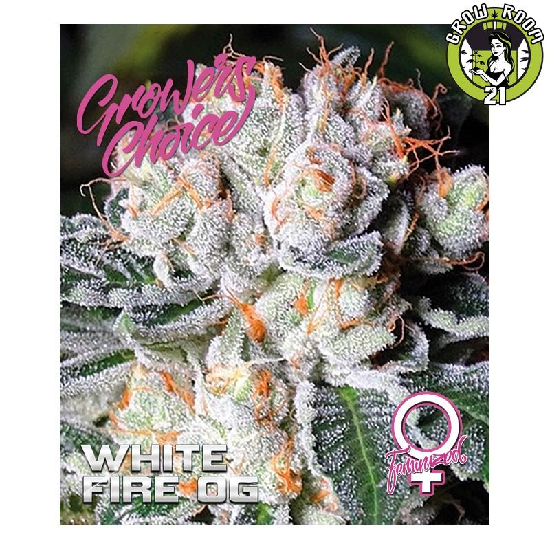 Bild von White Fire OG