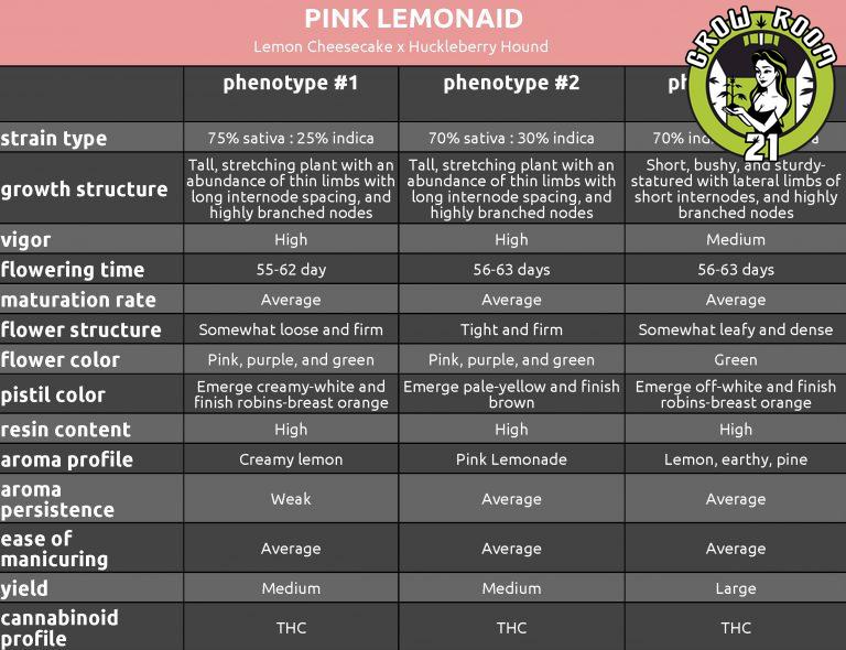 Bild von Pink LemonAid