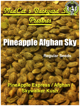 Bild von Pineapple Afghan Sky