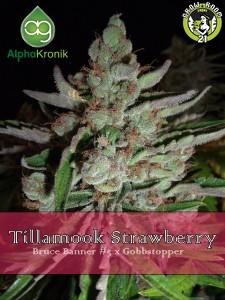 Bild von Tillamook Strawberry