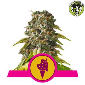 Bild von Seeds Cookies Gelato