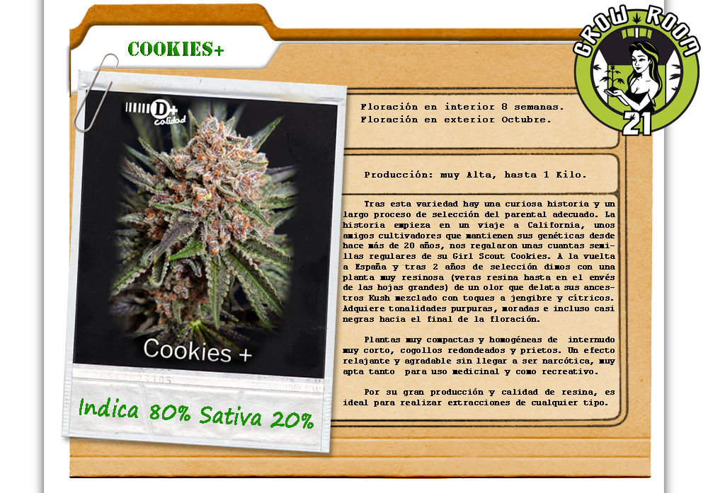 Bild von Cookiesplus