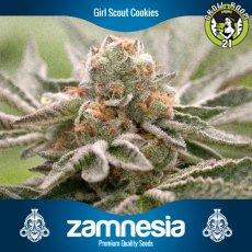 Bild von Girl Scout Cookies