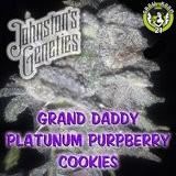 Bild von Grand Daddy Platinum PurpBerry Cookies