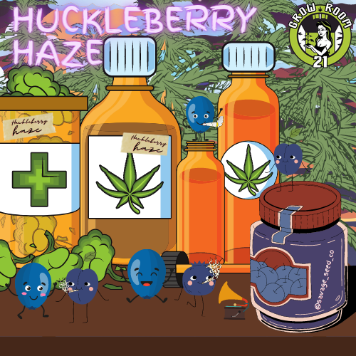 Bild von Huckleberry Haze